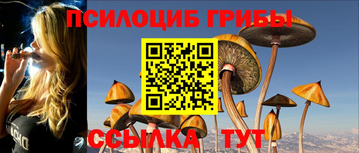 Галлюциногенные грибы Cubensis Бийск