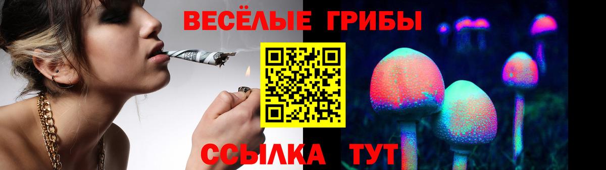 Галлюциногенные грибы Psilocybe  Псилоцибиновые грибы MAGIC MUSHROOMS  Бийск  Вход с VPN 